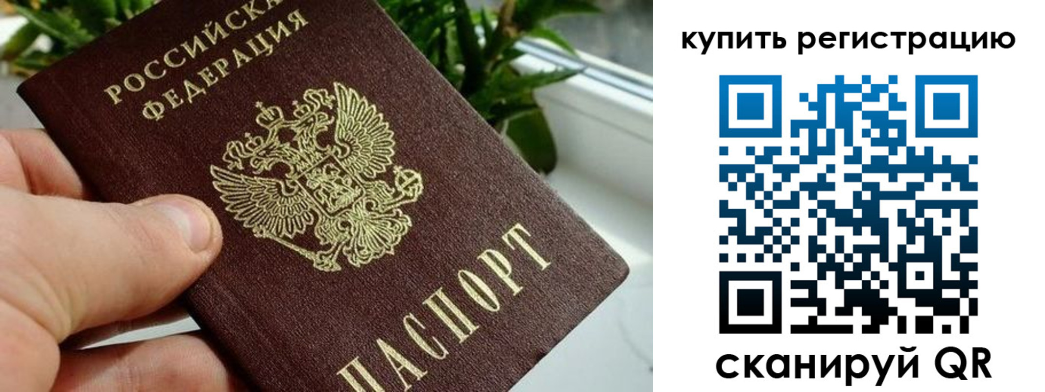 прописка гарантия в Луховицах